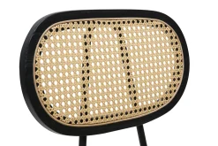 Chaises design en tissu velours bronze, métal noir et cannage rotin (lot de 2) SWANN