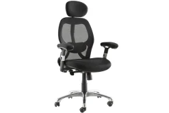 Fauteuil de bureau ergonomique ULTIMATE V2 plus