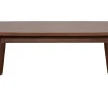 Table basse rectangulaire bois foncé noyer L100 cm NORDECO
