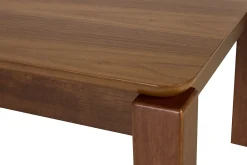 Table basse rectangulaire en bois foncé noyer L120 cm RAYA