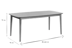 Table extensible rallonges intégrées rectangulaire en bois clair chêne L180-220 cm EGO