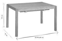 Table à manger extensible rallonges intégrées en bois clair chêne rectangulaire L125-238 cm AGALI